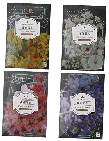 BELLIFFY 4 Sätze Aufkleberpaket Für Haustiere Pflanzen-scrapbook-aufkleber Kinder Aufkleber Grünes Tagebuch Aufkleber Der Blumenserie Kunstblumen Selber Basteln Alte Aufkleber Das Haustier