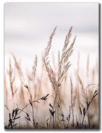 Leinwandbild Grasses I 60 x 80 cm | Bild auf Leinwand im Hochformat in sanften monochromen Farben | Gras Feld Wiese Natur Blumen Trockenblumen | Wohnzimmer Schlafzimmer Flur | Deko Home Einrichtung