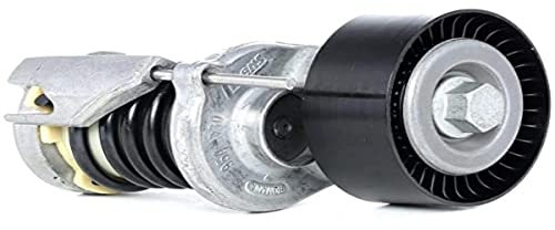 INA 534 0164 10 Braccio tenditore Cinghia Poly-V