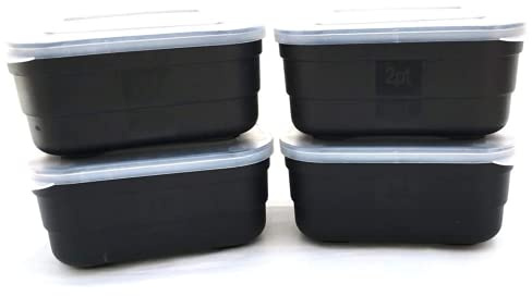 BZS Shatterproof Fishing Bait Boxes - ABS Plastic Waterproof Maggot Boxes for Fishing Suitable for both Freshwater and Saltwater Fishing Bait - (2 x 2 Pint & 2 x 1 Pint)