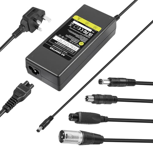LabTEC 42V 2A Hoverboard Mobility Scooter Charger Electric Bike Battery Charger for 36V 2A 10S Li-on Battery E-bike Power Supply 4 in 1