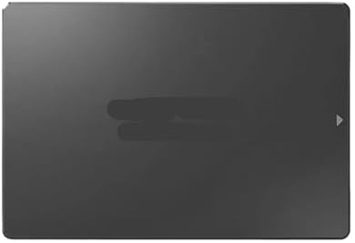 Generico Compatibile for X12 SSD SATA 3 da 2,5 pollici, 256 GB 512 GB 1 TB 2 TB, disco a stato solido interno for PS4, laptop e PC desktop(240GB)