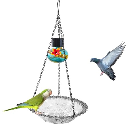 Distribuidores de Alimentos para Aves Exteriores | Fuente para Aves Bebedero | Bebedero Suspendable Fácil de Limpiar Resistente a Intemperías Antioxidante para Ventana Patio Terraza Jardín M