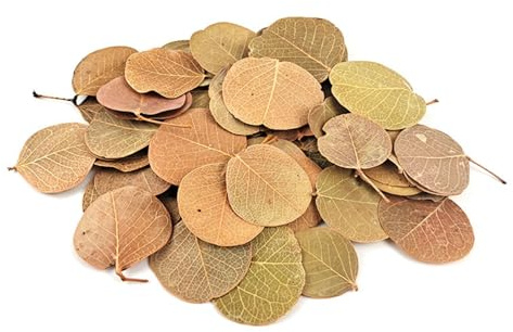 YIZITU Substrat de feuilles naturelles pour l'aquascaping améliore les habitats dans les installations d'aquarium et de terrarium, décoration d'aquarium