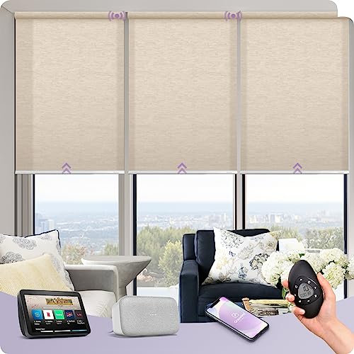 Graywind Elektrische Rollo Innen Lichtfilterung, nach Maß Wiederaufladbar Smart Fensterrollo, UV-Schutz Jalousien mit Fernbedienung, Motorisiert Rollo Kompatibel mit Alexa Google, Jacquard Kaffee