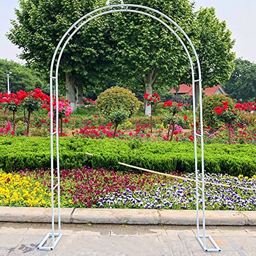 Arche de jardin en métal - Décoration de mariage - Pergola d'extérieur pour plantes grimpantes - Treillage autonome et résistant aux intempéries - Diamètre du tuyau de 19 mm - Blanc - 240 x 22 cm