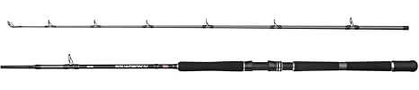 Penn Squadron IV Baitcasting-Angelrute | Salzwasser-Bootsangelrute | Seecasting | 24T Carbon-Rohling | Penn Dura-Guides | Mehrere Größen