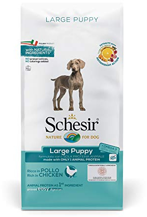 Schesir, Cibo Secco per Cani Cuccioli di Taglia Grande al Gusto Pollo, in Crocchette - Formato Sacco da 12Kg