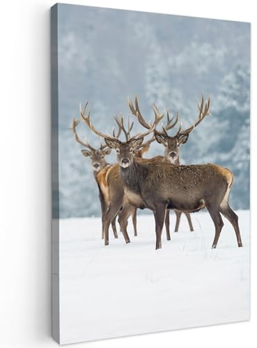 MuchoWow© Bilder Klein 20x30 cm Mini Wohnzimmer Deko Modern Wandbild Foto auf Leinwand Bild Schlafzimmer Room Decor Geschenke Hirsch - Rotwild - Reh - Tiere - Schnee - Winter - Landschaft - Natur