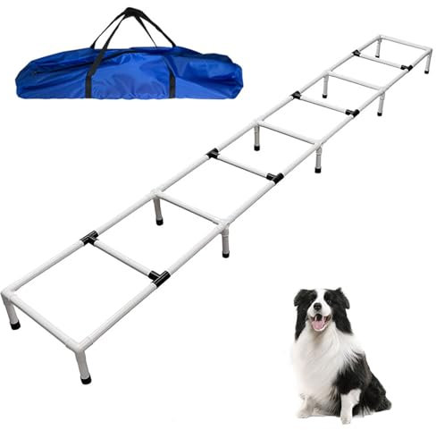 Better Sporting Dogs Agility-Trainingsleiter | Hunde-Agility-Trainingsausrüstung | Hundetrainingsausrüstung