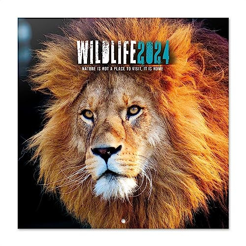 Grupo Erik Wildlife Wall Calendar 2024 12 x 12 | 12 Month Planner | Square Wall Calendar 2024 | Family Planner Calendar 2024 | Wildlife Calendar 2024 | Wildlife Gifts