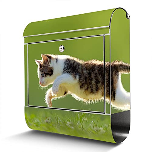 banjado® Briefkasten Edelstahl mit Motiv Jagende Katze 38x43x12cm & 2 Schlüssel - rostfreier Edelstahl Briefkasten mit Zeitungsfach - Postkasten A4 Einwurf inkl. Montagematerial