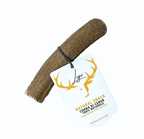 Ligo Corna di Cervo per Cani 100% Naturale Masticare Giocattolo Osso M | 76-150 g