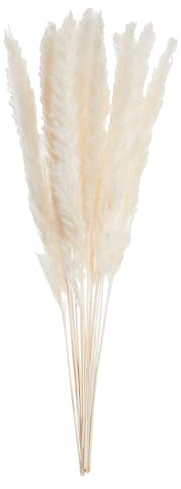 BUTLERS Mini-Pampasgras Naturfaser - Flower Market - | Farbe Beige - 50 cm - Trockengras für Tischdeko & Raumgestaltung - Dekofloristik für Tischvasen & Kränze