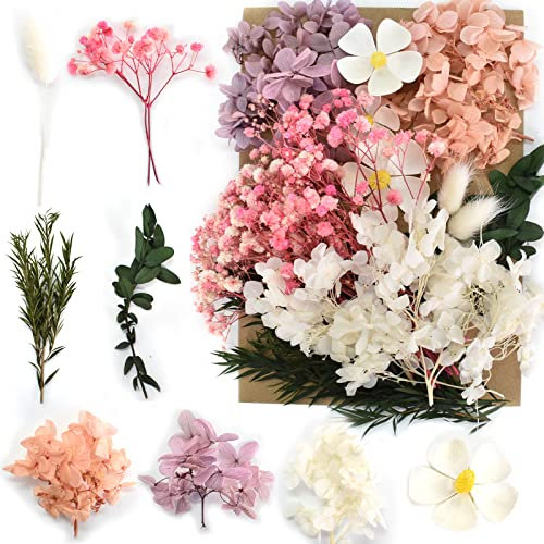 Fleurs Pressées Séchées,Fleurs Sechees Naturelles Vraies Pressées Séchées Et de Feuilles Séchées,Fleurs Mélangées Naturelles,Ensemble de Fleurs Séchées Naturelles,Fleurs Naturelles Mélangées (B)