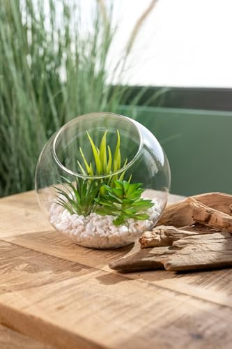 künstliche Sukkulenten Mix im Glas 15cm Grünpflanze Succulent Kunst-Pflanze Tisch-Deko