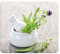 Wenko 2712940500 Placa multiusos Jardín de Hierbas - para cocinas de vidriocerámica, Vidrio endurecido, 56 x 0.5 x 50 cm, Multicolor