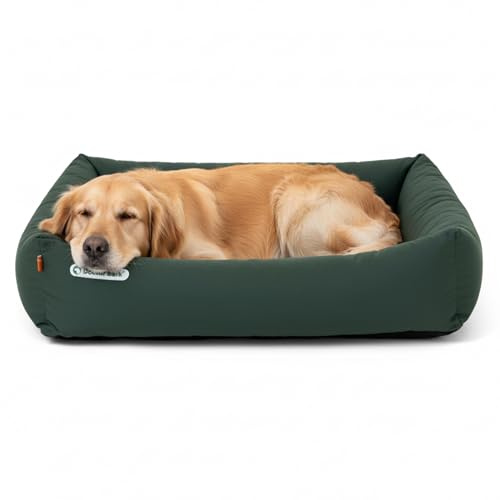 Doctor Bark Hundebett Orthopädisch - Waschbar bis 95°C, Geruchsfrei & Hygienisch - Kuscheliger Hundekorb Grosse Hunde mit Hundematratze (XL - 100x90 cm, Grün)