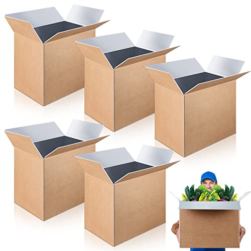 Henoyso 5 Pcs Large Insulated Shipping Boxs 19 x 12 x 16 for Frozen Food with Foil Insulated Cold Bag Liner Shipping Box Cooler Box Cold Pack Boxes for Fresh Food Mailing Packing