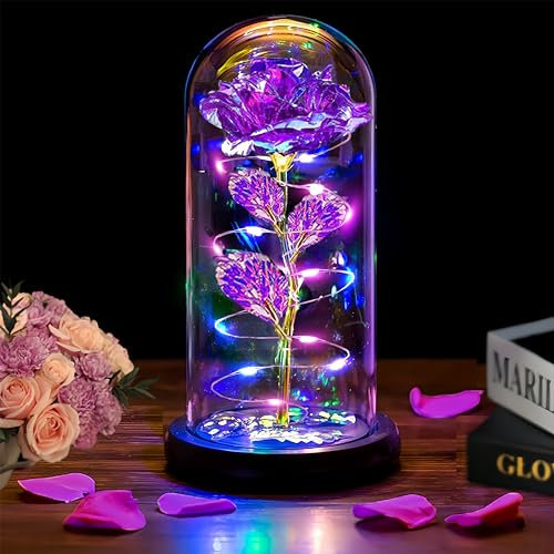 Valentines Day Gifts for Her , Valentines Rose Flowers Gifts for Women Mom Wife Girlfriend Wife Daughter Grandma,Light Up Rose In A Glass Dome Gifts for Mom ,Birthday Gifts for Women, Purple Rose