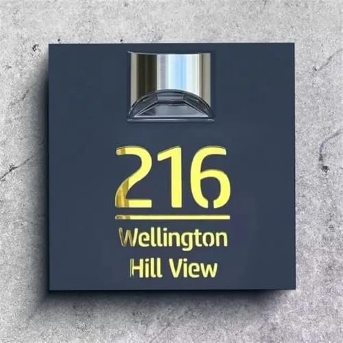 Panneau d'adresse solaire personnalisé avec lumière LED, plaque de numéro de maison personnalisée, panneau d'adresse extérieur moderne, plaque de porte éclairée (gris et doré)