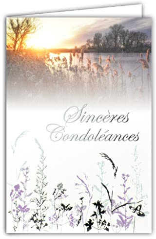 64-1060 Carte Sincères Condoléances Gris Argenté Brillant Décès Deuil Paysage Soleil Couchant Eau Lac Arbres Herbes Graminées Fabriqué en France