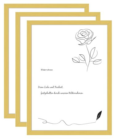 Hengsong Bilderrahmen 40x60 Gold 3er Set,Rahmen,Bilderrahmen Gold,Metallrahmen mit Plexi-Glas,mit Wandrahmen für Art&Family&Kinders,Aluminium,Picture Frame für Foto von 40x60cm,ca.41×61cm