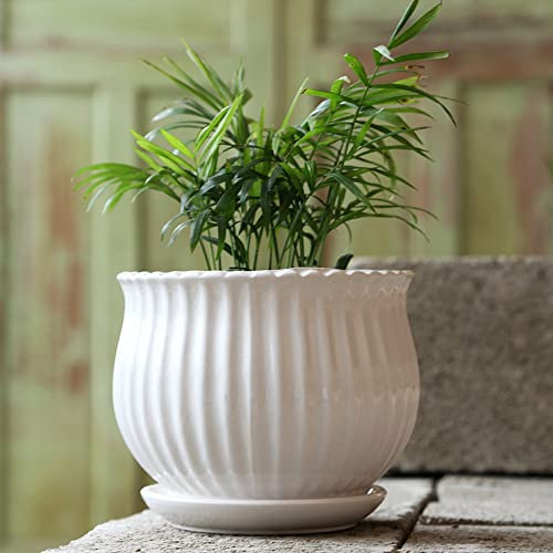 CWCQGH Keramik-Blumentopf für den Innenbereich, großer Blumentopf mit Tablett, runde Grünlilie, kreative, Schlichte Grünpflanze, Karottenfleisch, Grünpflanze für den Innenbereich, Bl,Green
