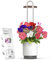 Vaso Smart Autoirrigante con Luce per la Crescita, Kit Mini Serra da Interno con Capsule di Petunia Click&Grow, Hydrovase Smart Garden