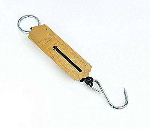 Mannesmann Taschenfederwaage 25 kg, M 813-025