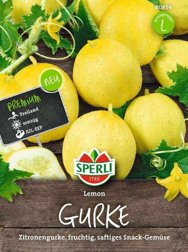 Salatgurken Lemon (Zitronengurke)