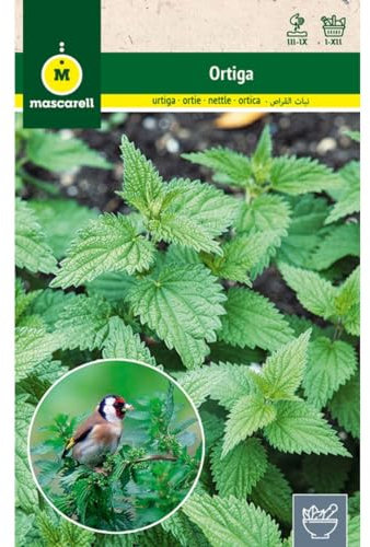 Mascarell - Semi, ortica, semi di erbe aromatiche per piantare, creare il proprio orto a casa, 0,4 grammi