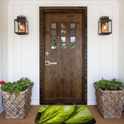 PHAYAH Zerbino con due foglie di verdura, 40,6 x 61 cm, per interni, porta anteriore e posteriore, per patio, ingresso, garage, patio, casa, veranda