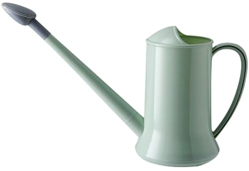 Annaffiatoio per interni 2L 2 modalità di spruzzo Annaffiatoio piccolo con beccuccio lungo rimovibile e soffione doccia in plastica da giardino per piante da interno ed esterno Fiore Bonsai Giardinag