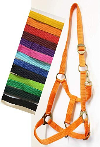 ProCheval Halfter - Weide - (Cob/Vollblut, lila)