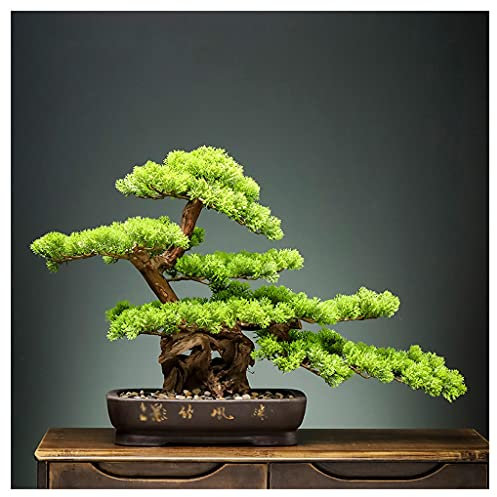 zxb-shop Künstlicher Baum Künstliche WILLKOMMEN Kiefer Topfpflanzen, Gefälschte Bäume, Grünpflanzen, Hoteleingang Dekoration, Bonsai Dekoration, Podocarpus Große Topf Simulation Bonsai (Size : B)