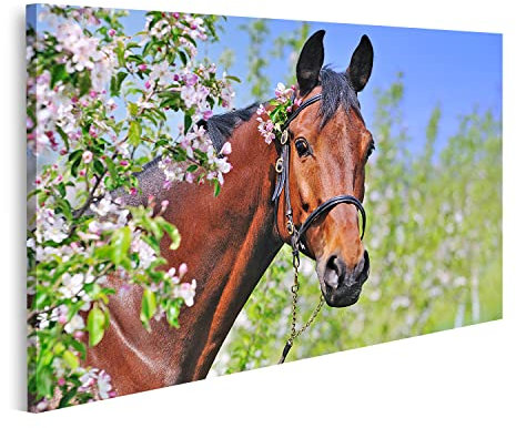 islandburner Prime Bild auf Leinwand Braunes Pferd vor Apfelbaum Bauerhof für Kinderzimmer und Reiter