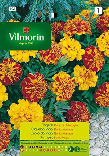 Kit 10 bustine Semi Di Tagete Indiabonita Fiori S-1,1,5 Gr