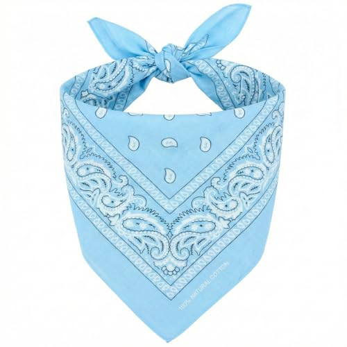 Keystone Peak Bandana Pañuelo de Cabeza Algodón sin Poliéster Unisex