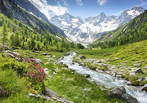 wandmotiv24 Fototapete Berge Alpen Wiese Bach, L 300 x 210 cm - 6 Teile, Wanddeko, Wandbild, Wandtapete, Wasser Schnee Wald Bäume Gras M6751
