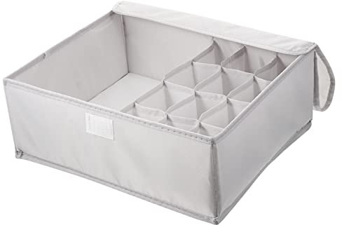 Cabilock Caja De Almacenamiento De Ropa Interior Tapa Organizador De Sujetadores Para Armario Hecho De Material Oxford Resistente Al Agua y Fácil De Limpiar Dormitorio o Baño