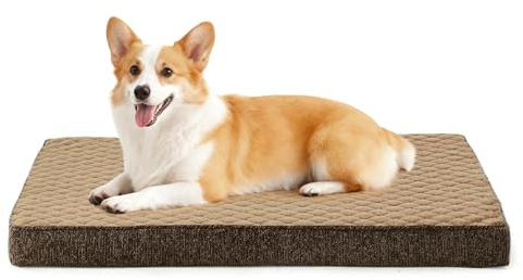 JOEJOY Orthopädisches Hundebett Mittelgroße Hunde, Hundekissen Waschbar Flauschig Hundematte, Hundematratze für Mittelgroße Hunde, rutschfeste Unterseite, 76x46x7.5cm