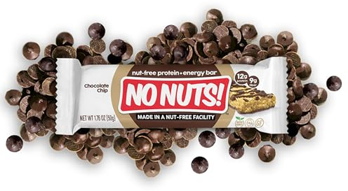 No Nuts! Chocolate Chip Protein Bars 100% Nut-Free & School-Safe | 12g Plant Protein, Vegan, Gluten-Free, Non-GMO, Organic, Kosher | 12 Count