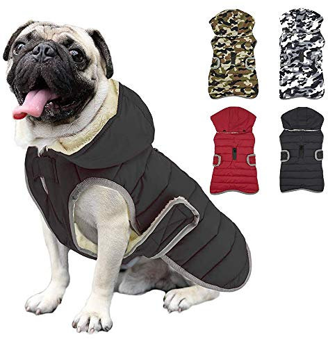Etechydra Winter Hundejacke with Abnehmbarem Hut, Hundemantel Wasserdicht Reflektierend Hund Mantel Warme Hoodie Fleece Welpenmantel, Jacken für Kleine Mittlerer Große Hunde, Schwarz, M