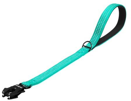 PetBonus kraftigt kort hundkoppel, nylon trafikbly med snabbkopplingsklämma, bekvämt vadderat handtag, reflekterande träningskoppel för medelstora till stora hundar (turkos, 60 cm)