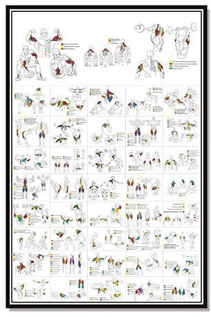 Ling88 Bilder,Poster,Kunstdrucke,Brust Hantel Workout Übung Poster ， Krafttraining Diagramm - Home Gym Gewichtheben Routine ， Bodybuilding Guide Guide Fitness Übung Wandbilder-60X80Cm