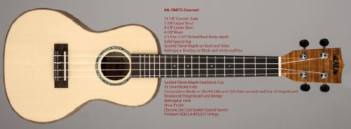 KALA Solid Spruce Top Concert Uke Flamed Spalted Map with Concert Case (UC-C)
