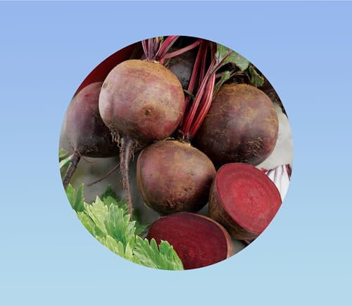 150 Graines de betterave 'Boltardy' - Variété ronde et savoureuse, résistante à la montée en graine et facile à cultiver