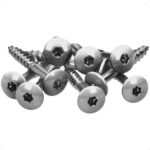 100x MEISTERLING® Fassadenschrauben INOX V2A 4,8 x 25 mm – Flachkopf Torx T20 + 1 Bit – Unlackiert