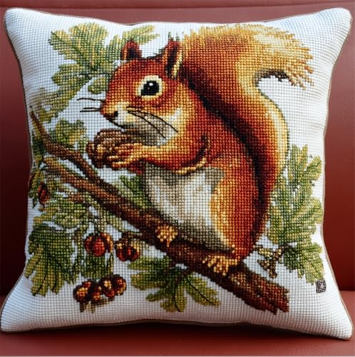 Henypt Point De Croix Kit Coussin Complet Set Écureuil 45 X 45 Cm Decoration Manuelle Broderie Adulte Art Creatif Cadeau Diy Cross Stitch Embroidery Débutant Coussin Point Aile Diy Cross Stitch Pil